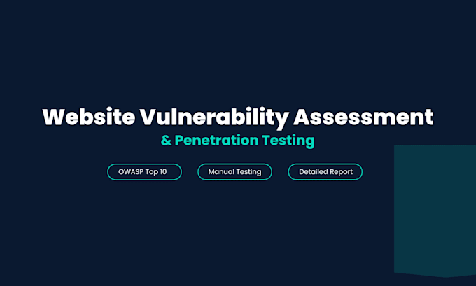perform a website vulnerability assessment and penetration test
