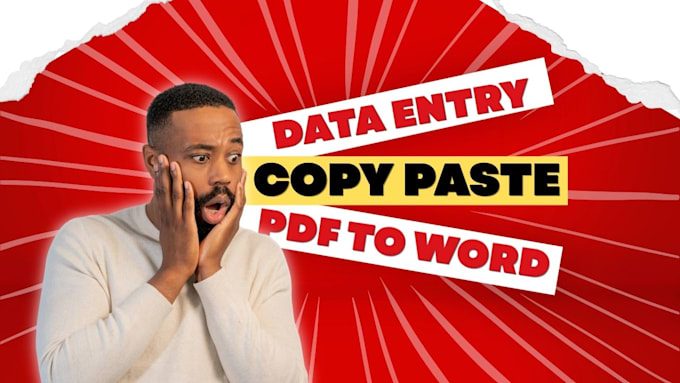 professional excel data entry copy paste and PDF conversion