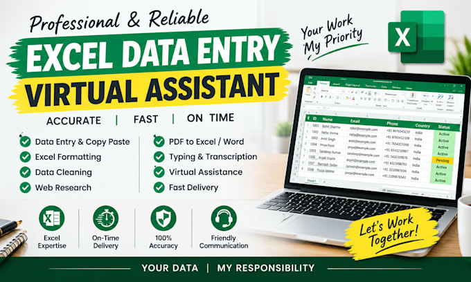 be your expert excel data entry and formatting virtual assistant