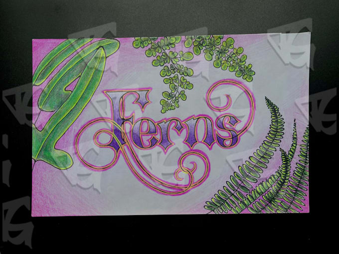hand draw botanical illustrations
