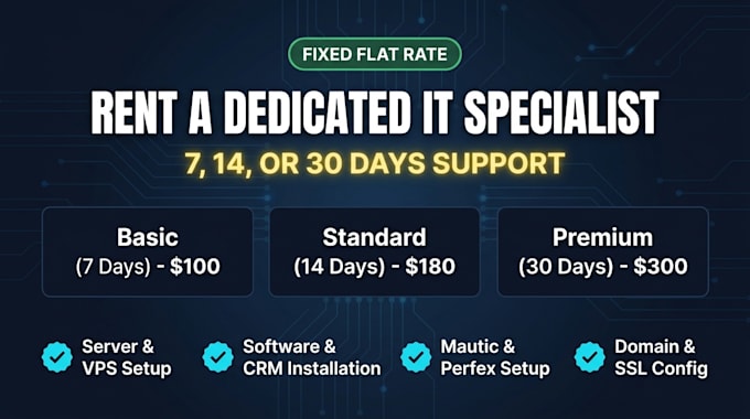 rent dedicated IT specialist for software and server setups