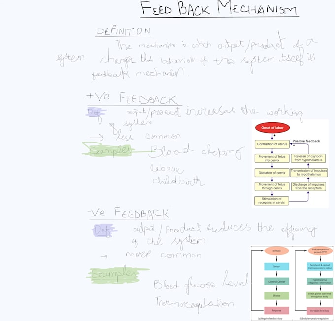create professional biology worksheets, notes, quizzes and educational content