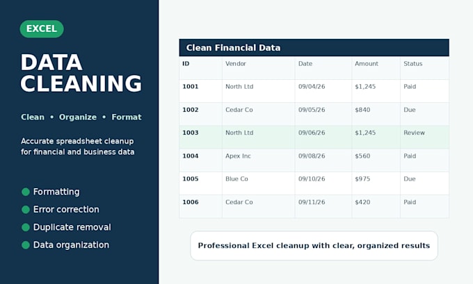 clean organize and format your excel financial data