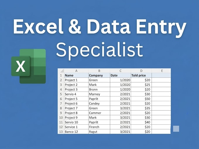organizar sus datos en excel, data entry y crear plantillas