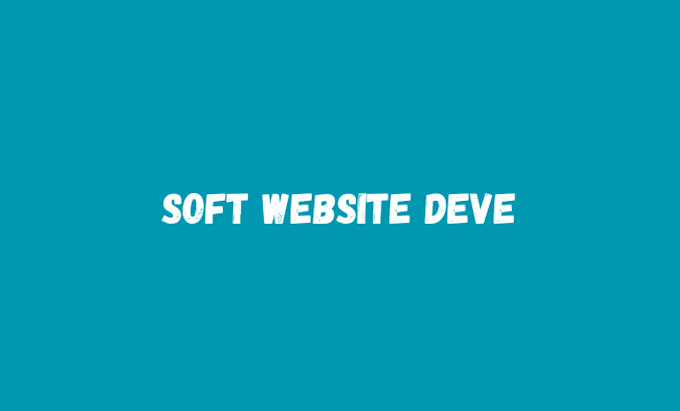 do website development for school