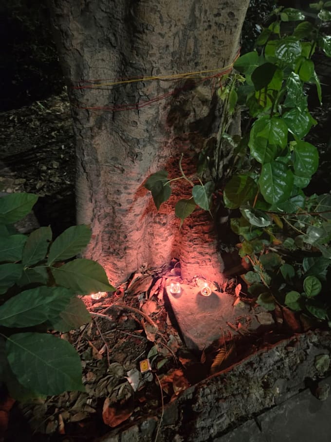 do cleansing, curse and black magic removal, pure healing