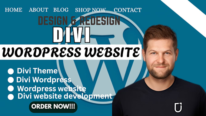 design, develop and customize a professional divi wordpress website