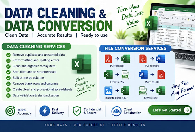 excel data cleaning and data entry