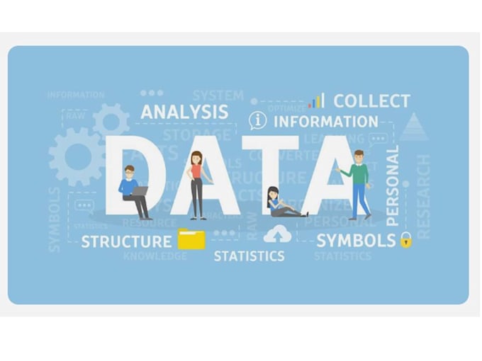 collect and organize business data professionally