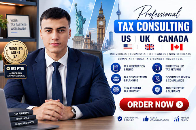 provide professional US UK and canada tax consulting