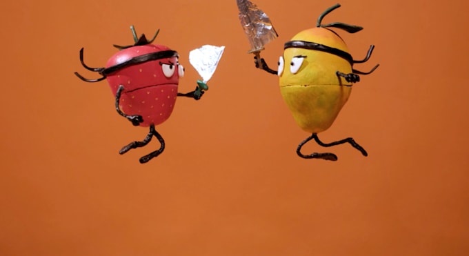 create professional stop motion animation videos