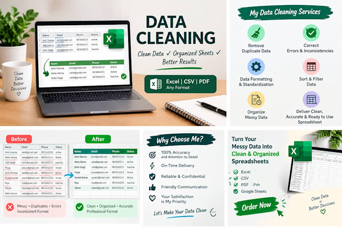 do data entry,data cleaning excel, and PDF to excel