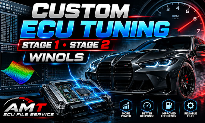 custom tune your ecu stage 1 stage 2 professionally in winols