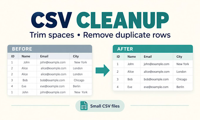 clean one small CSV file with python