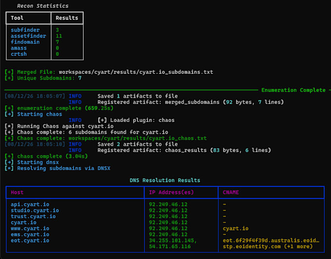perform web application penetration testing