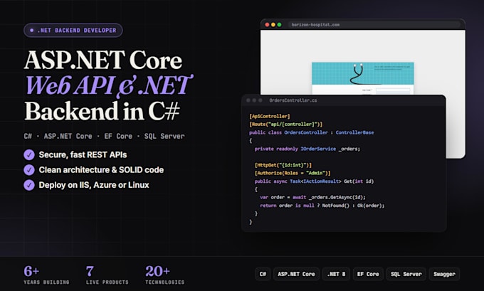 develop asp net core web api, dotnet backend and sql server applications