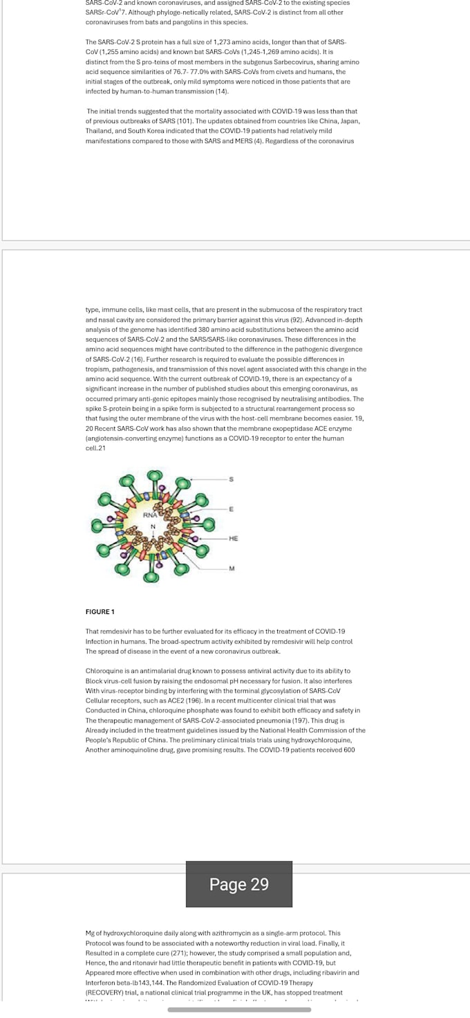 translate , create a word document