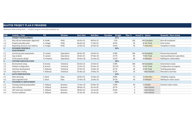 provide professional project management and pmo consulting