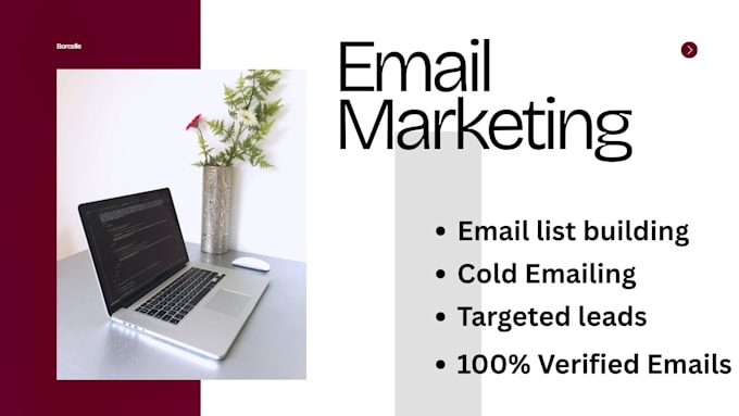 do email list building ,cold emailing ,and targeted lead generation