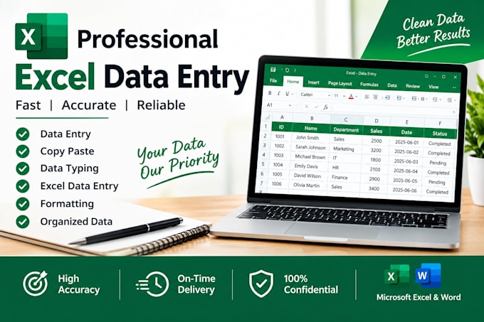 do accurate data entry in microsoft excel