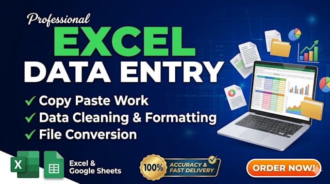 do expert excel data entry and copy paste work