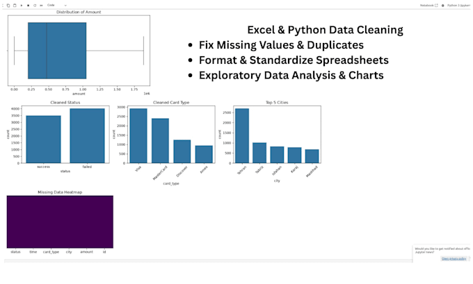 do professional excel data cleaning, formatting, and validation