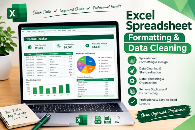 format clean and professionally design your excelspreadsheet