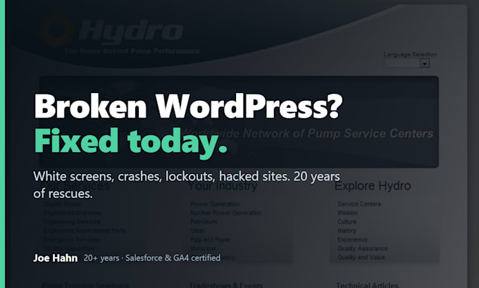 fix your broken, blank, or crashed wordpress site today