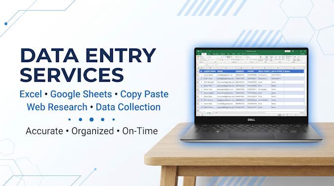 do data entry, excel, copy paste and python assignments