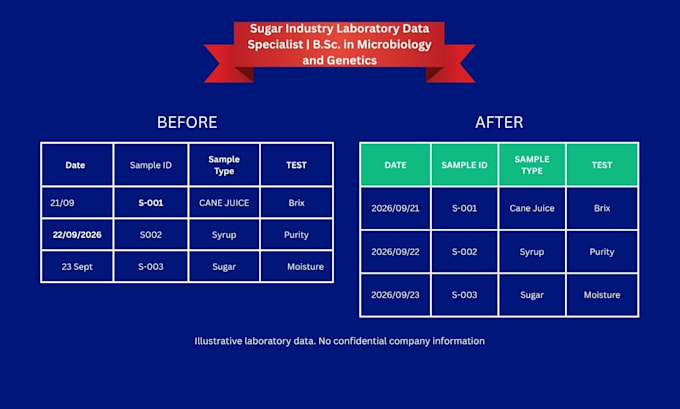 do accurate data entry and excel spreadsheet cleanup