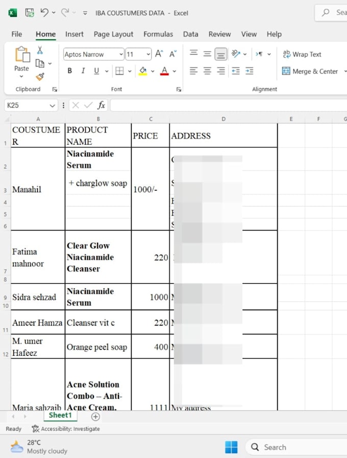 professionally clean and format your data