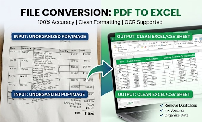 convert PDF to excel, clean messy data, and organize sheets
