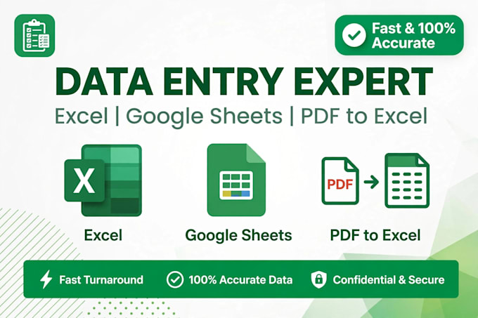do accurate data entry and excel data entry