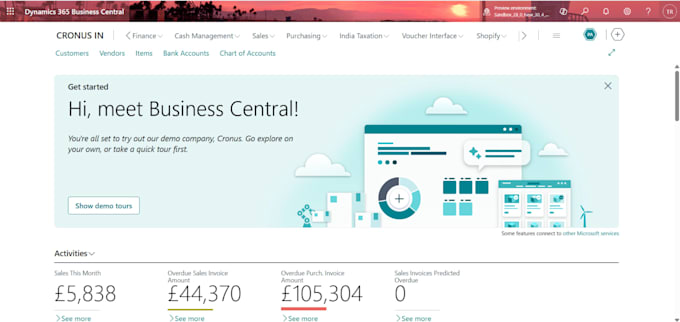 develop and customize business central al