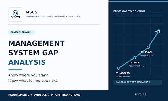 perform a tailored management system gap analysis