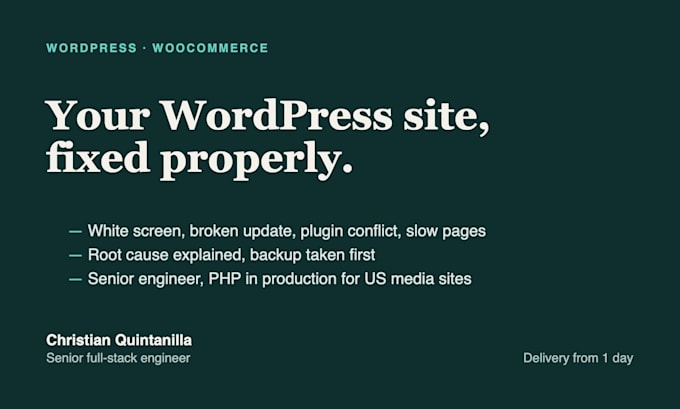 fix your wordpress or woocommerce site errors, updates and plugins