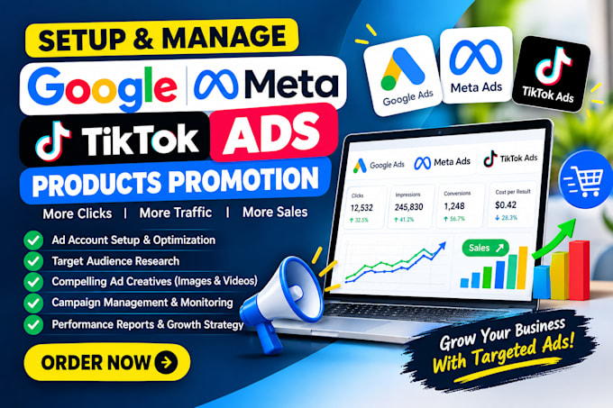 setup and manage google, meta and tiktok ads