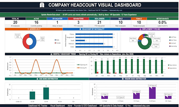create a professional excel dashboard for HR or business data analysis
