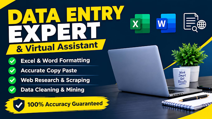 do expert data entry, virtual assistant, and excel data cleaning