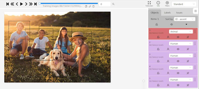 do image audio video annotations using cvat segmentations data labelling