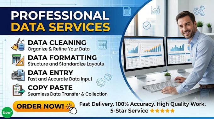 accurate data entry, data cleaning, and excel data formatting