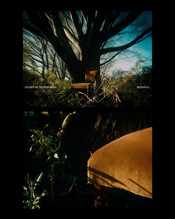 professionally edit and color grade video project