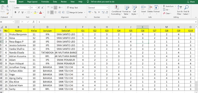 do data entry, excel data formatting, data cleaning