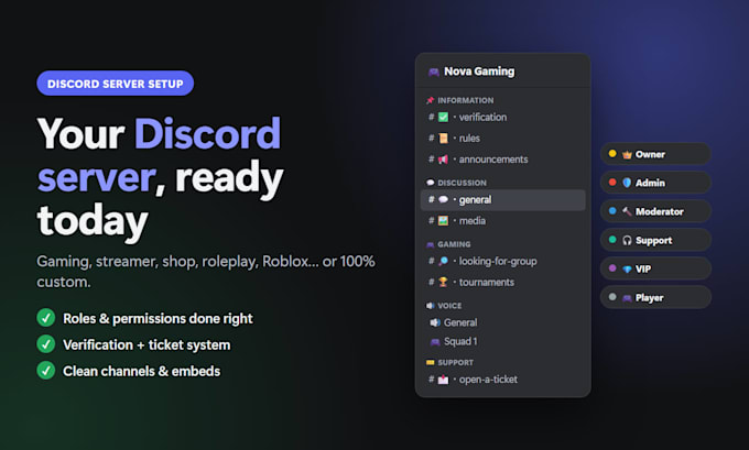 set up a professional discord server for your community