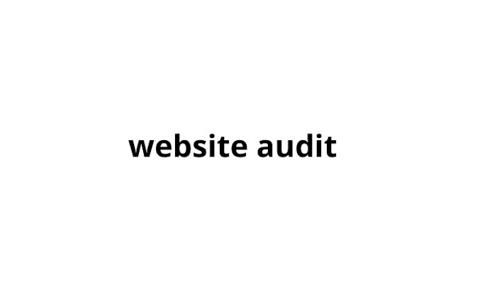 do shopify website audit
