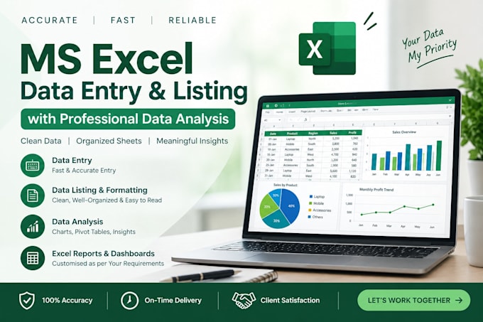 do professional ms excel data entry data analysis