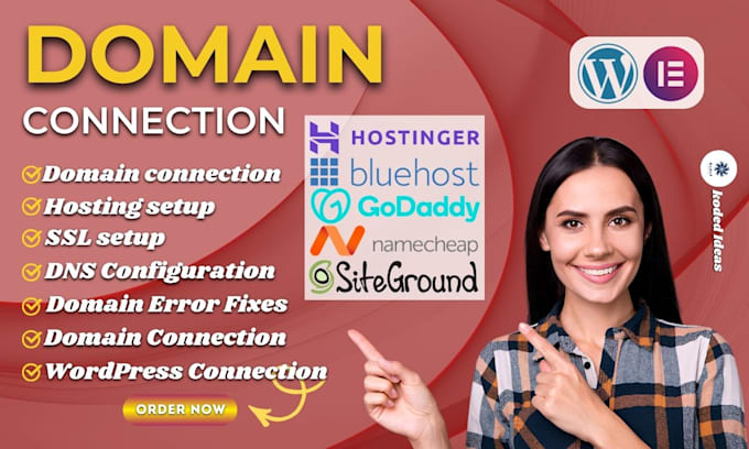 fix and connect your domain to your wordpress website