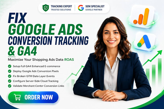 audit and optimize google shopping and performance max campaigns