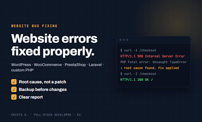 fix bugs, errors and broken features on your website
