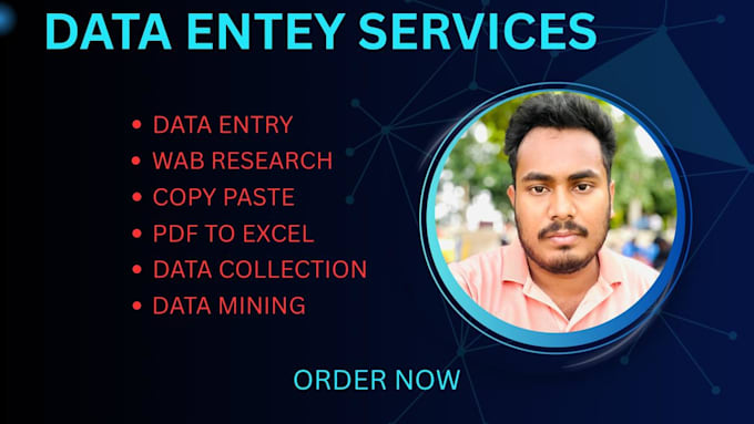 do accurate data entry, web research and excel tasks